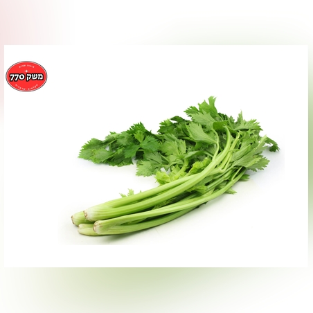 מארז סלרי ארוז