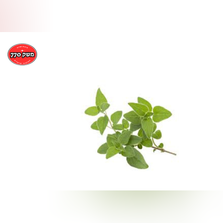 מארז זעתר *מהדרין*