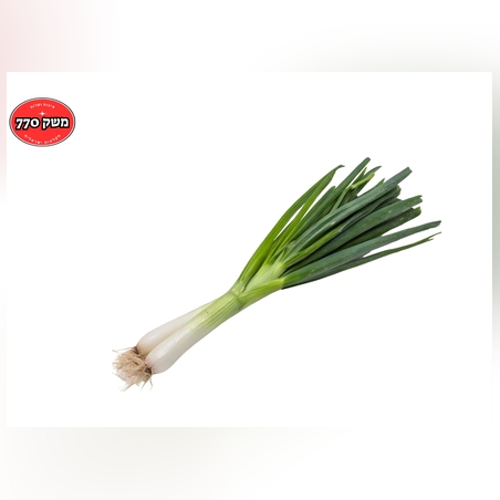 מארז בצל ירוק