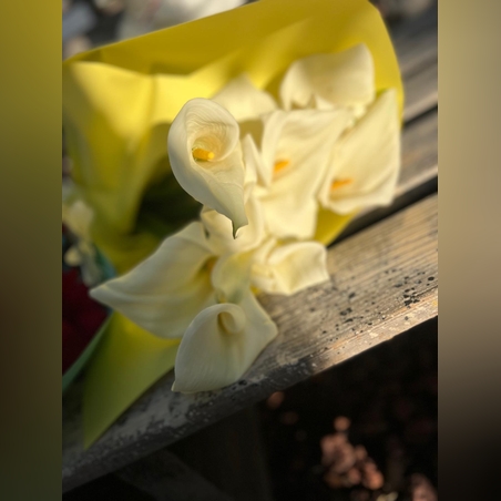 זר 10 קלות לבנות