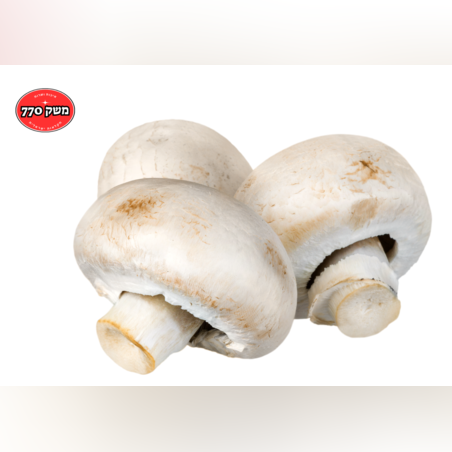 מארז פטריות שמפיניון