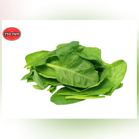 מארז תרד ניו זילנדי