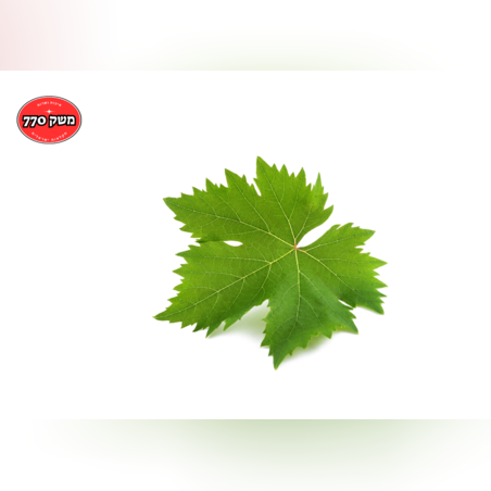 מארז עלה גפן