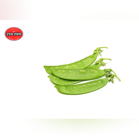 מארז אפונת שלג