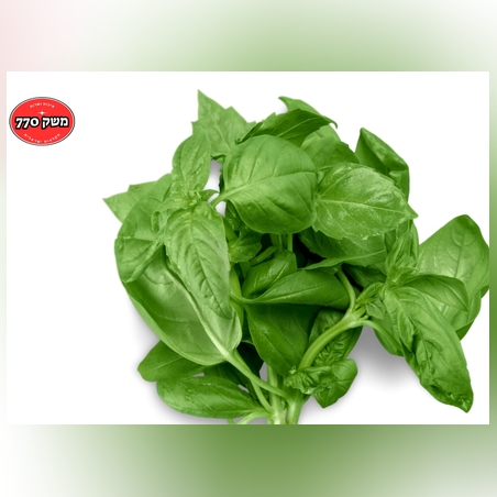 מארז בזילקום מהדרין