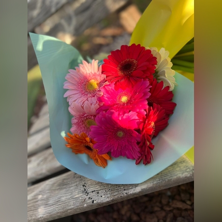 10 גרברה בצבעים