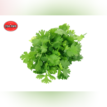 מארז כוסברה ארוז