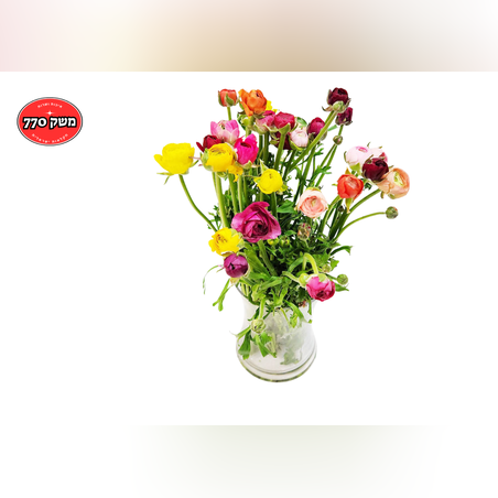 זר 20 נוריות צבעוניות