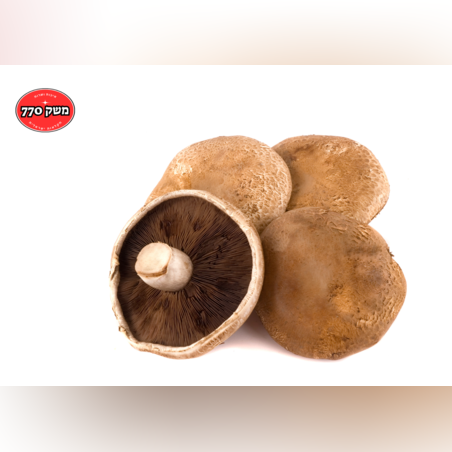 מארז פטריות פורטובלו