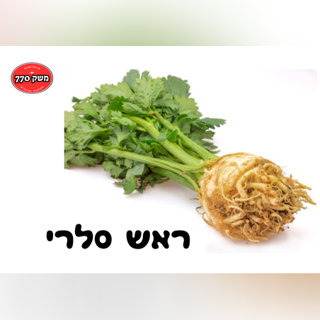 ראש סלרי