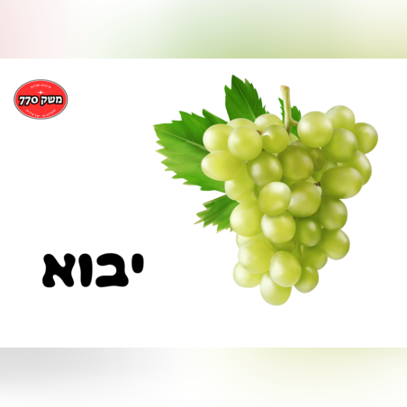 מארז ענב לבן מתוק כ1 קילו