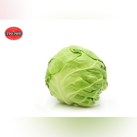 מארז כרוב לבן