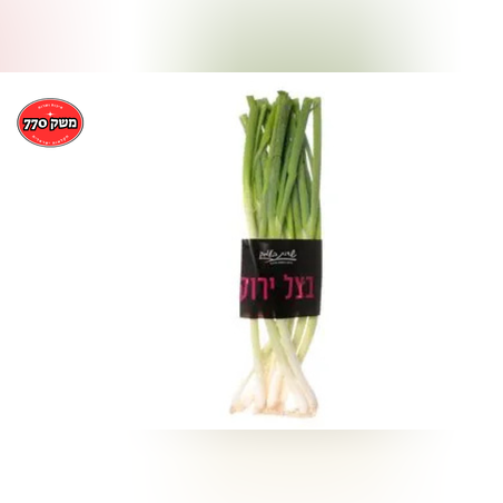 מארז בצל ירוק  גדול פרימיום *שדות העמק*