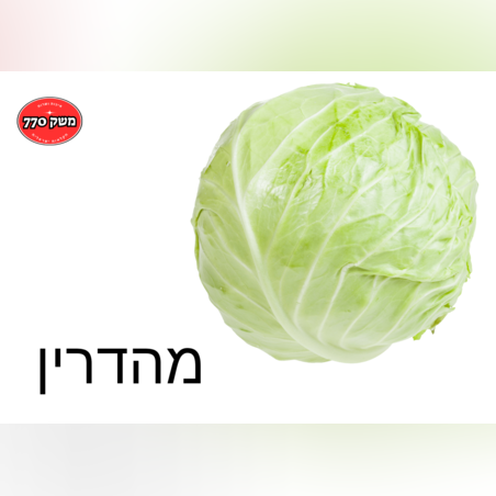מארז כרוב לבן מהדרין