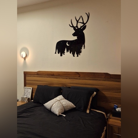 غزال اللّيل