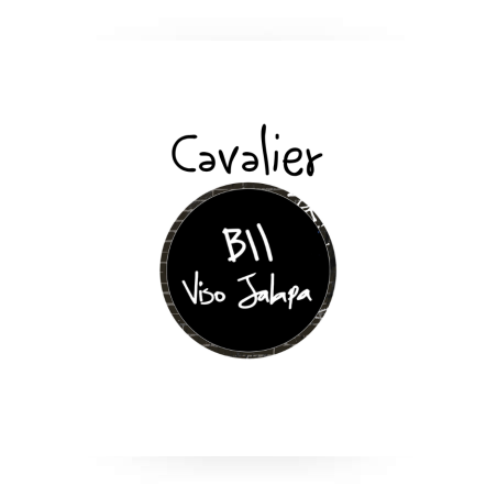 Cavalier Genève BII Viso Jalapa Robusto Gordo