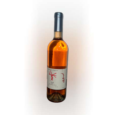 יין רוזה 2023 מיקב סלומון