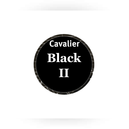 Cavalier Genève Black II Petit N°2