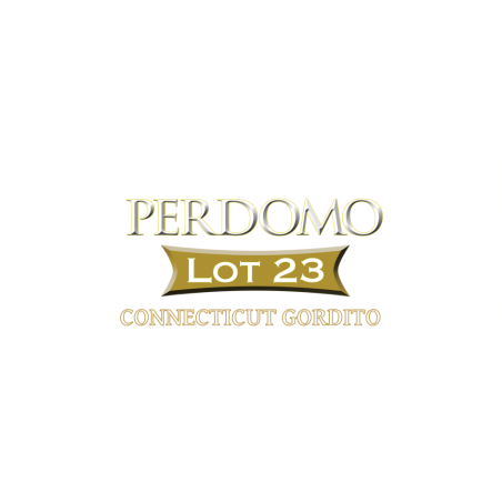 PERDOMO LOT 23 CONNECTICUT GORDITO