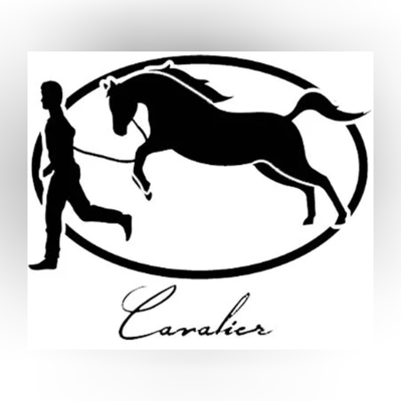 Cavalier Genève BII Viso Jalapa Toro
