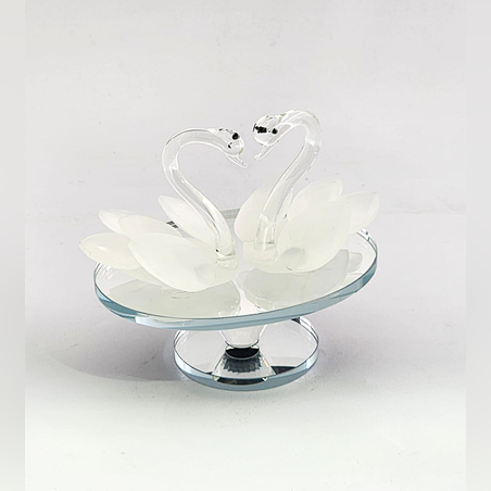 ברבורים לבן