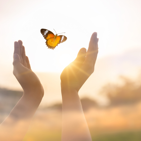 מיומנויות עתיד והתמודדות עם התנהגויות מאתגרות- קורס יישומי מתקדם