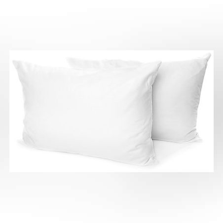 זוג כריות באריזה