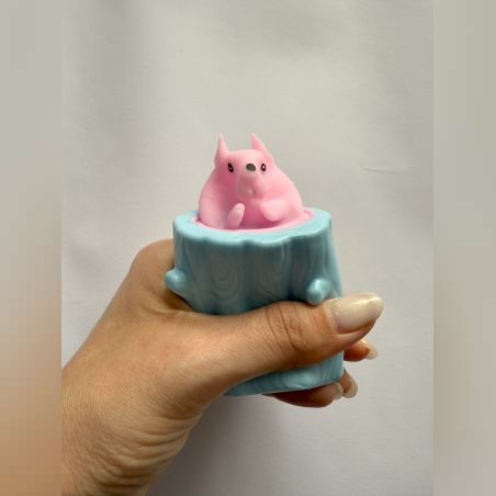 סקווש סנאי מוציא ראש