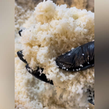 Traditional couscous and vegetable set