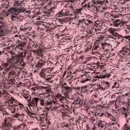 כרוב אדום במיונז אמריקאי