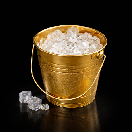 דלי לקרח 2 ליטר קומפקטי זהב לאירוח.