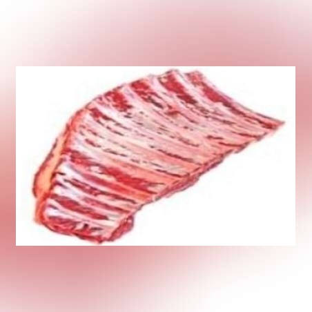 שורט ריב עם עצם כ- 3 ק