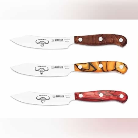 PremiumCut Office – סכין רב שימושית מקצועית 10 ס