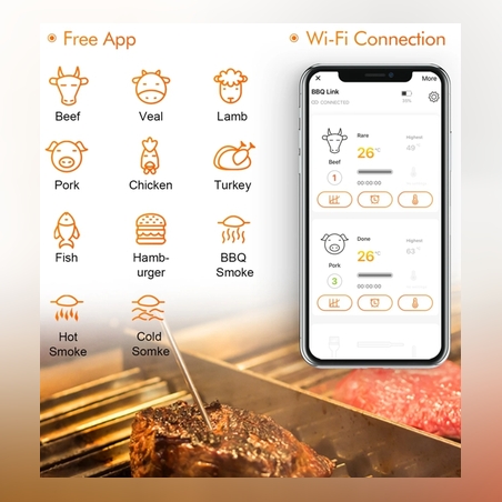 מד חום 4 פרובים WIFI