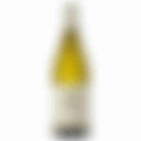 יין לבן רוסאן ויונייה 2021