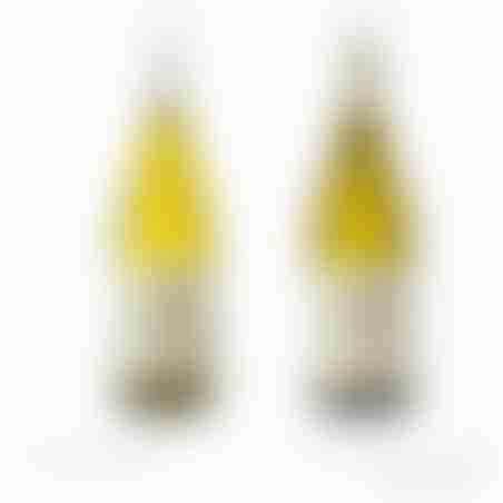 מארז יין זוגי מתיישן וצעיר - רוסאן ויונייה בציר 2017 מתיישן ורוסאן ויונייה בציר 2021