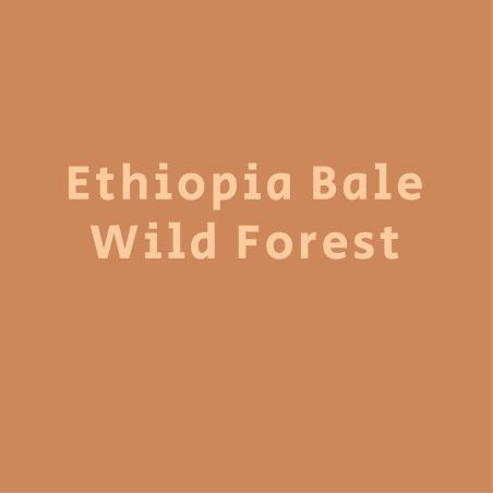 אתיופיה הרי בייל