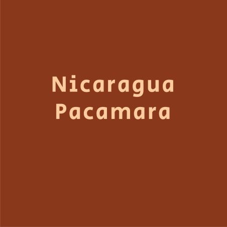 ניקרגואה פקמארה