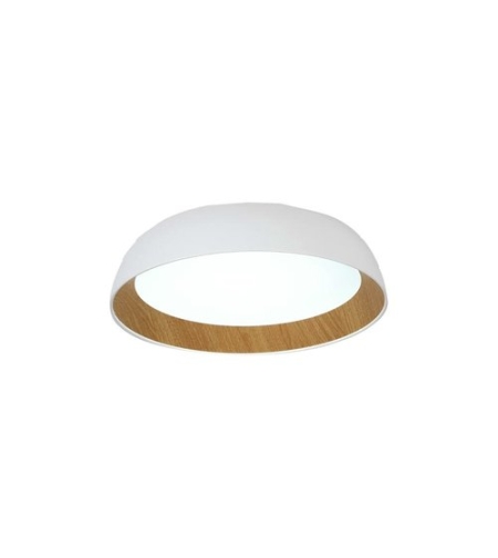 גוף תאורה צמוד תקרה OREN 60W