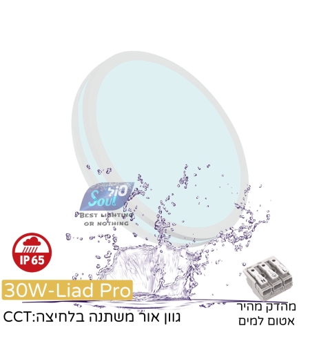 צמוד תקרה 30W ליעד פרו