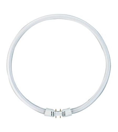 נורת פלורוסנט T5 עגולה 55W 830