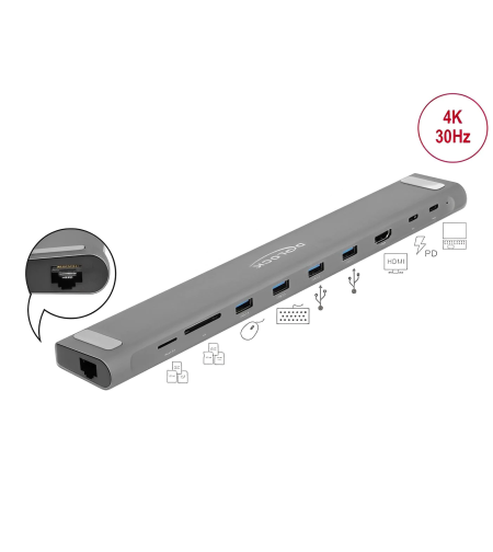 Delock USB Type-C Docking Station 10 Ports D87748
