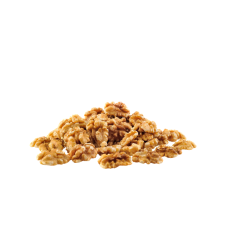 אגוז מלך בראשית