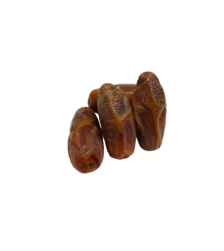 תמר דקל נור