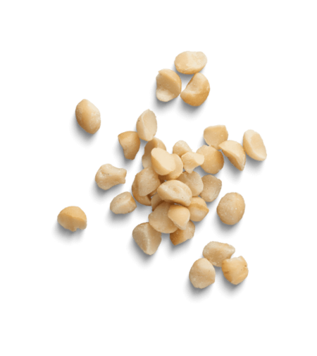 מקדמיה טבעי