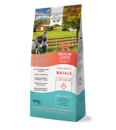 אקוליבריה חזיר 2 קילו לגזע קטן