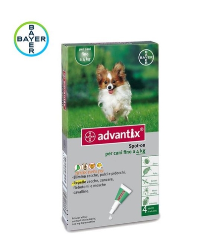 אדוונטיקס לכלב קטן עד 4 קילו