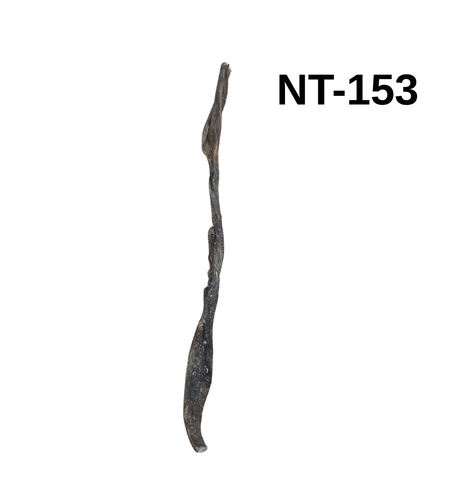 קרניבור מעי גמל 50-55 ס