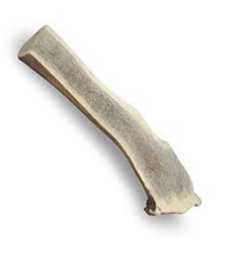 קרן אייל טבעית חצויה 40-50 גרם 15-18 ס