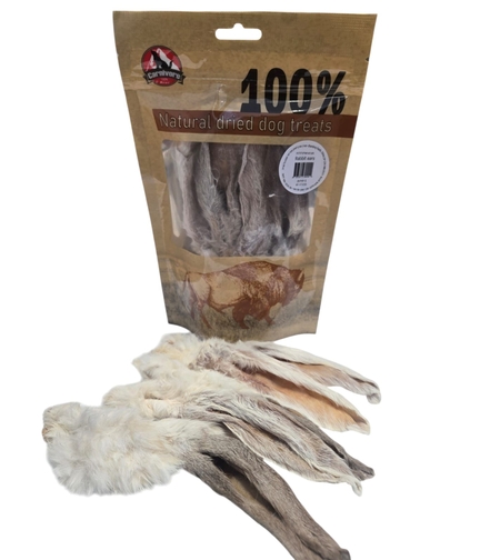 קרניבור אוזני ארנב